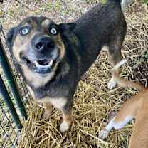 Thumbnail photo of Skye #4