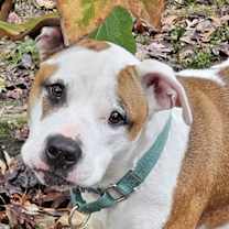 Thumbnail photo of Marsha May #1