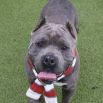 Thumbnail photo of Chubb Athens #1