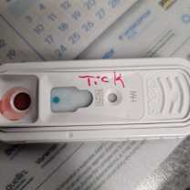 Thumbnail photo of Artemis 1/Tick #2