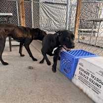 Thumbnail photo of Erica #2