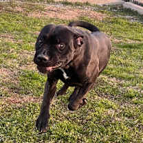 Thumbnail photo of Erica #3