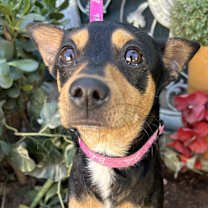 Thumbnail photo of INES #1