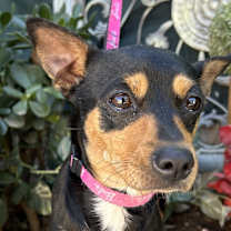 Thumbnail photo of INES #2