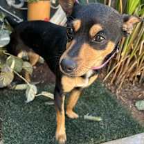 Thumbnail photo of INES #3