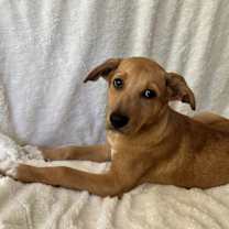 Thumbnail photo of Bonnie #2