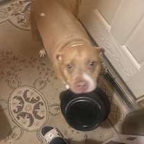 Thumbnail photo of Two face #1