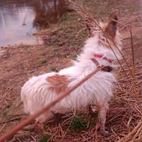 Thumbnail photo of December #4