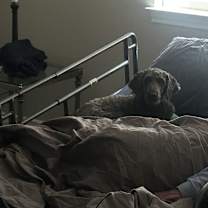 Thumbnail photo of Lola #3