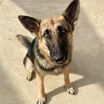 Thumbnail photo of Freya #1