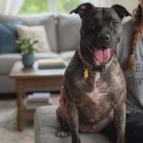 Thumbnail photo of Cleo2 #2