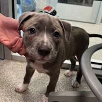 Thumbnail photo of Cairo #1