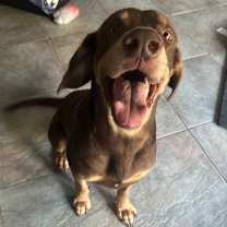 Thumbnail photo of Pauly #4