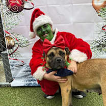 Thumbnail photo of Holly #3