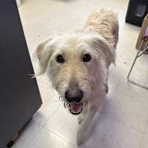 Thumbnail photo of Max #2