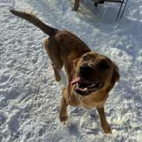 Thumbnail photo of Charbel #1