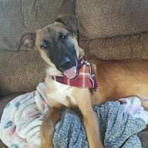 Thumbnail photo of Victor #1