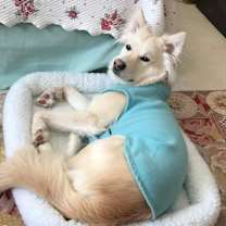 Thumbnail photo of Neo #2