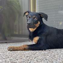 Thumbnail photo of Athena #1