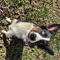 Thumbnail photo of Karen #4