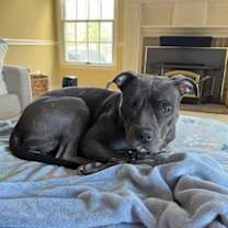 Thumbnail photo of Bell #1