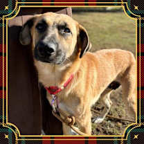 Thumbnail photo of Jane #1