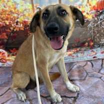 Thumbnail photo of Jane #2