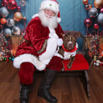 Thumbnail photo of Ramalama #1