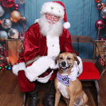 Thumbnail photo of Asha #1