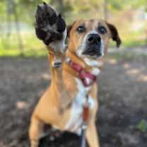 Thumbnail photo of Asha #2