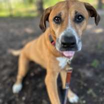 Thumbnail photo of Asha #3