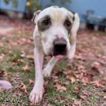 Thumbnail photo of MGMT #1