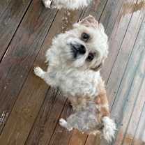 Thumbnail photo of Twirl #2