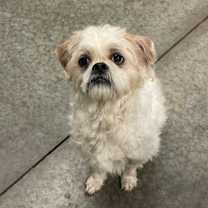 Thumbnail photo of Twirl #3