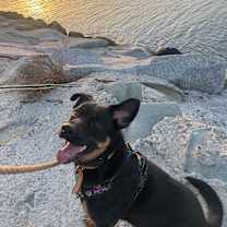 Thumbnail photo of Athena #3