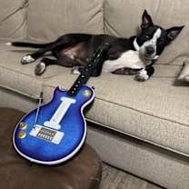 Thumbnail photo of Goliath #3