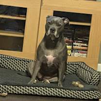 Thumbnail photo of Storm #3