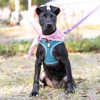 Thumbnail photo of Emily #1