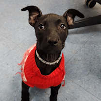 Thumbnail photo of Emily #2