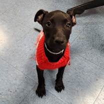 Thumbnail photo of Emily #3