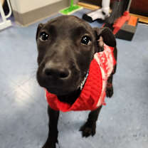 Thumbnail photo of Emily #4