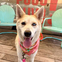 Thumbnail photo of Brianna #1