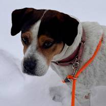 Thumbnail photo of Lucy #3