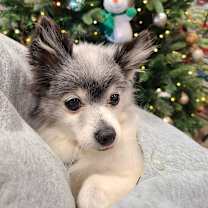 Thumbnail photo of Mildred #3