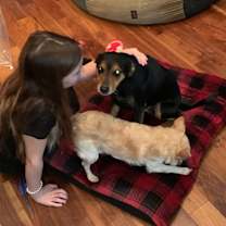 Thumbnail photo of Chase #3