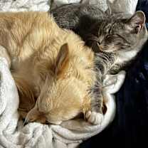 Thumbnail photo of Chase #4