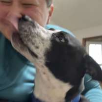 Thumbnail photo of Goliath #2