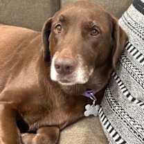 Thumbnail photo of Mavis #3