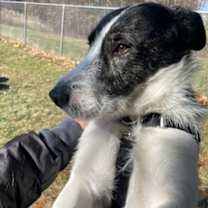 Thumbnail photo of Micah #2