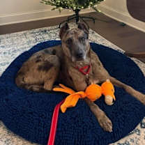 Thumbnail photo of Eleanor #1